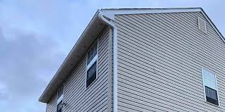 Best Custom Trim and Detailing for Siding  in , FL